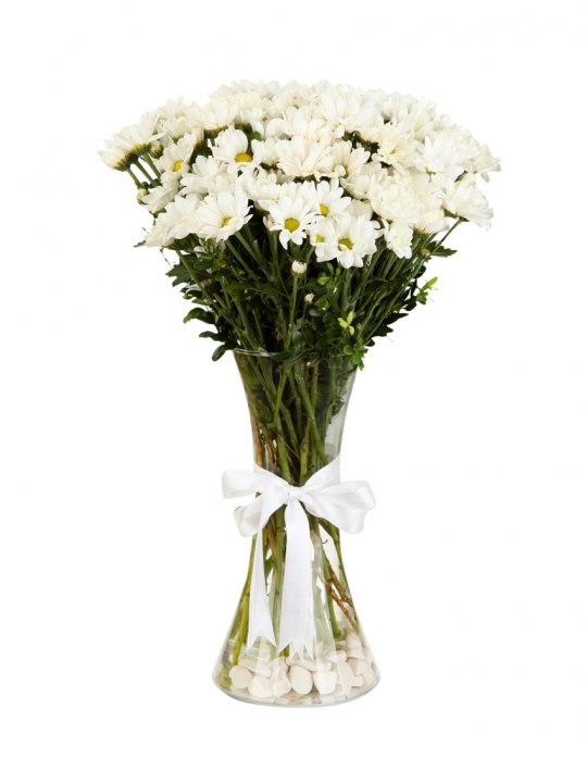 Deri Döşemeli Koltuk Takımı