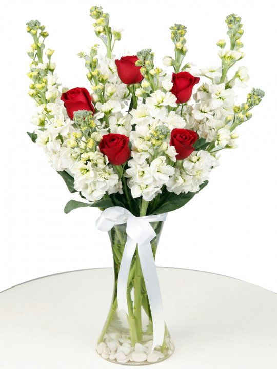 Kaliteli Oturma Odası Takımı